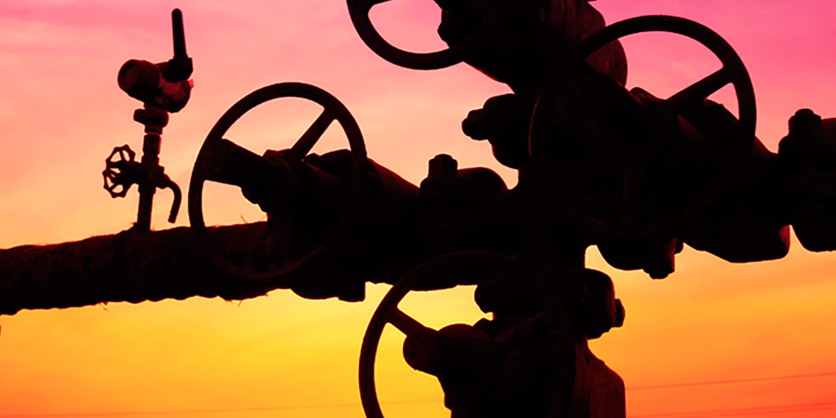 Vertex Energy Houston